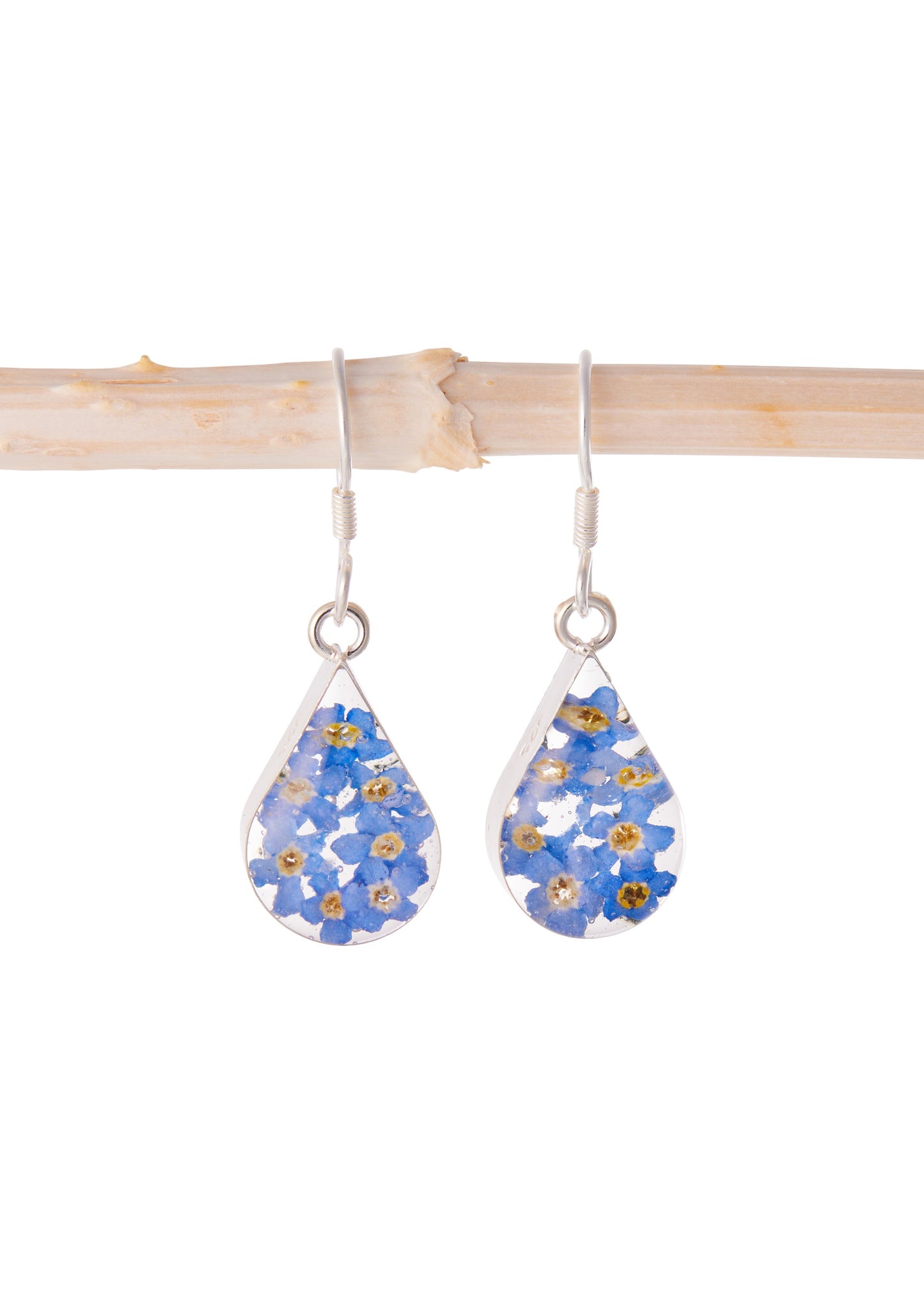 Teardrop Earrings with Real Forget Me Not Flowers