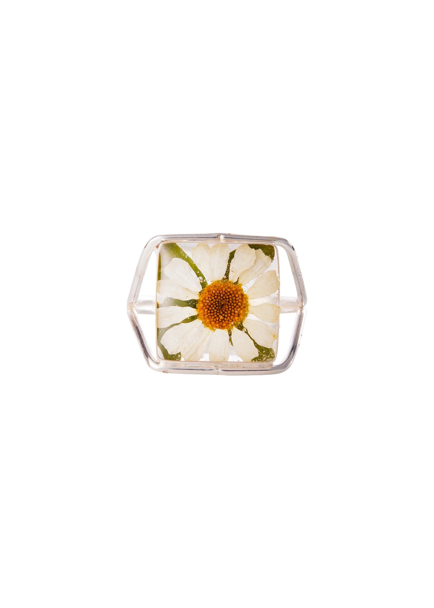A sterling silver square ring with a daisy flower design, featuring real flowers preserved in clear resin.
