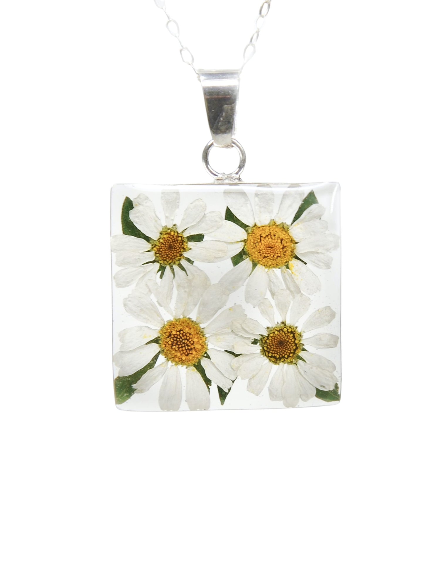 A sterling silver square pendant necklace with a daisy flower design, featuring real daisies encased in clear resin.