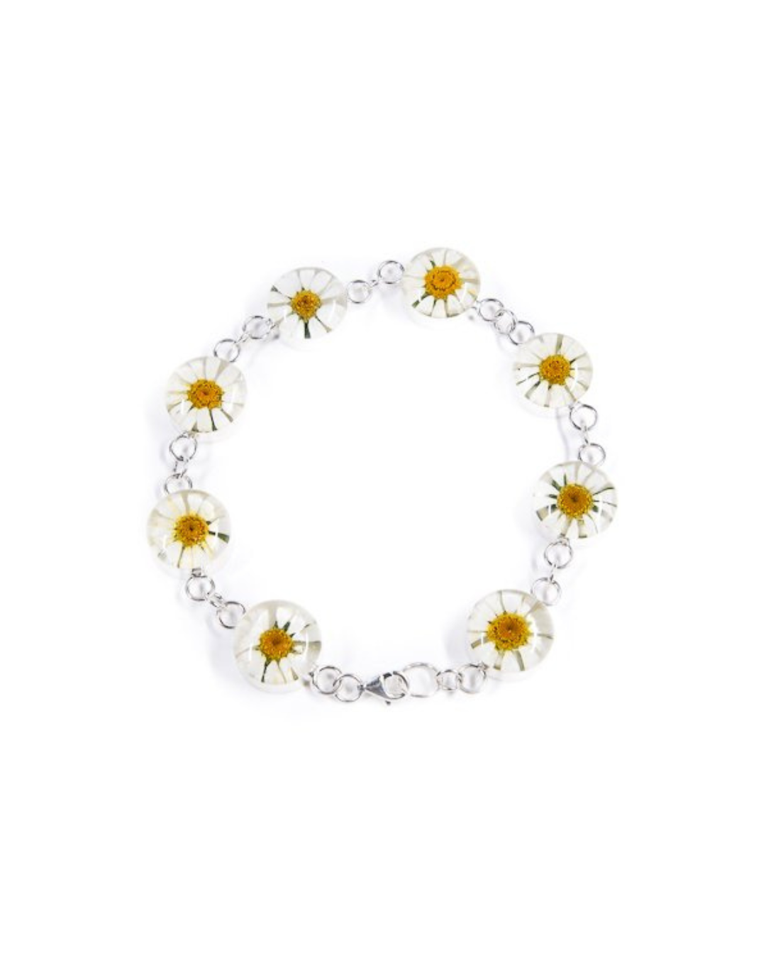 A sterling silver bracelet featuring real daisy flowers as the main component, with a mix of yellow and white flowers, linked together with silver links.