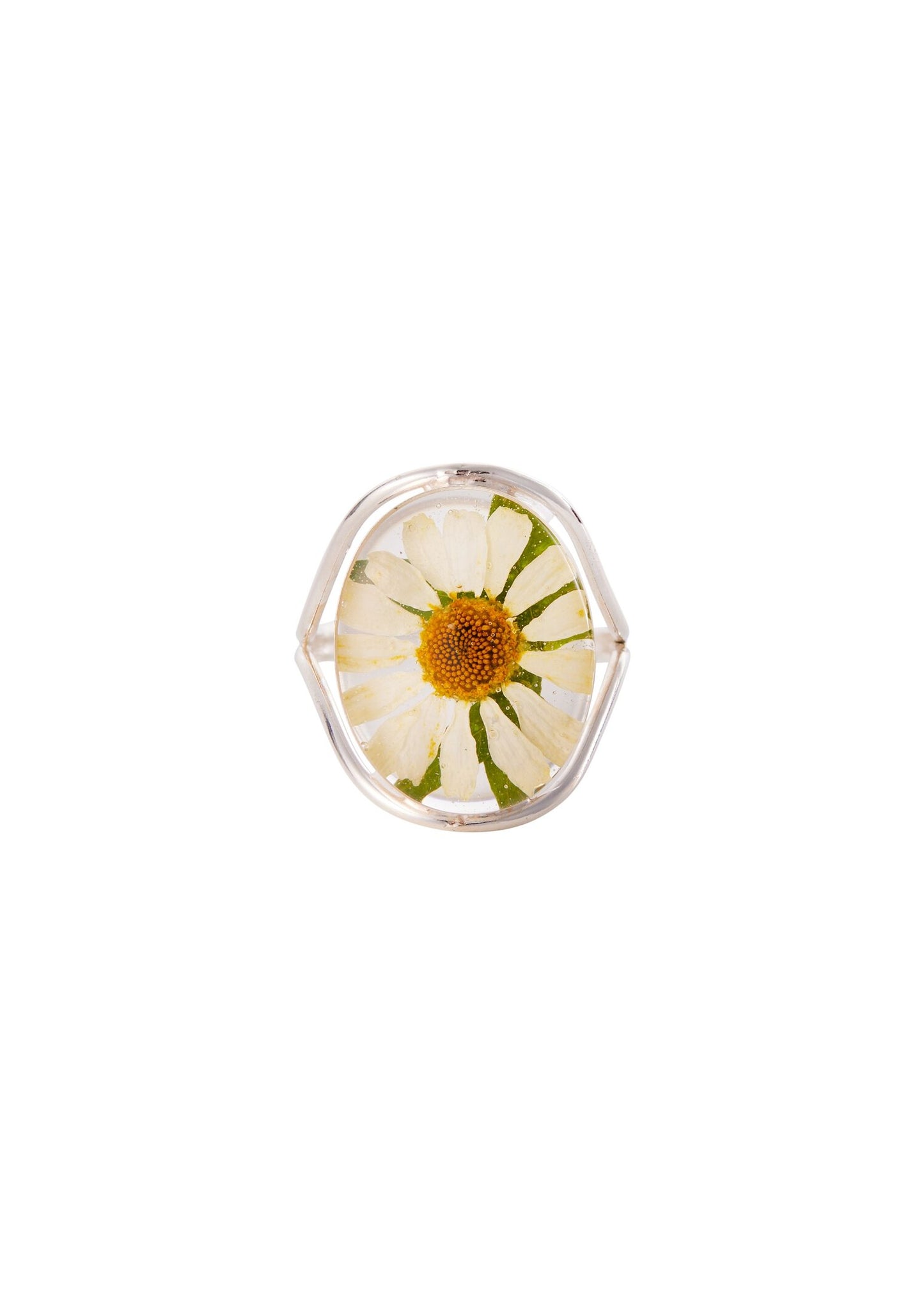 A sterling silver oval ring with a daisy flower design, featuring a real daisy flower preserved in clear resin.
