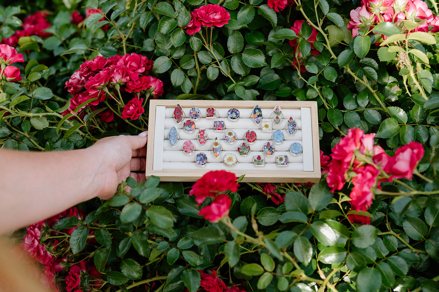 Ring display case held by a hand among pink flowers