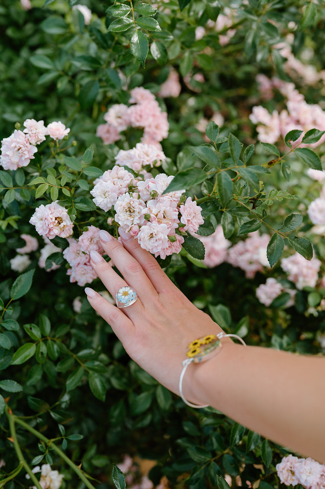 Hand with a ring touching pink flowers against a green bush