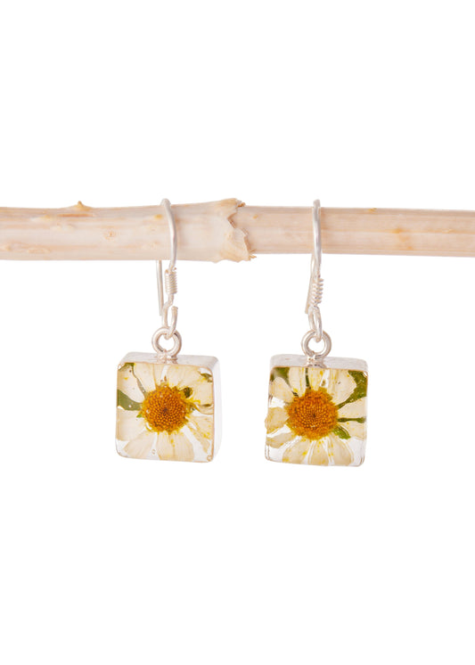 Square Earrings Daisy Flower