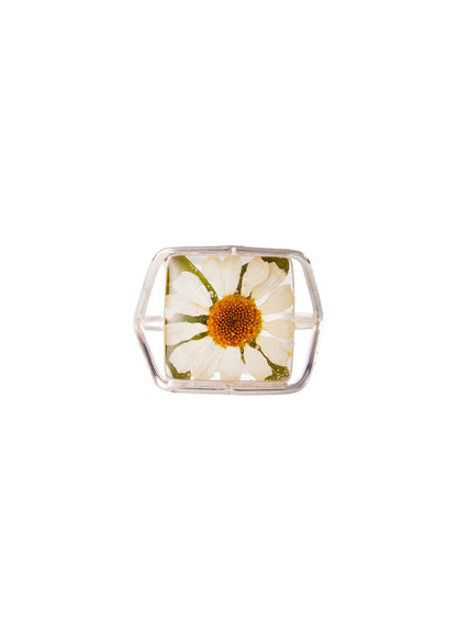 A sterling silver square ring with a daisy flower design, featuring real flowers preserved in clear resin.