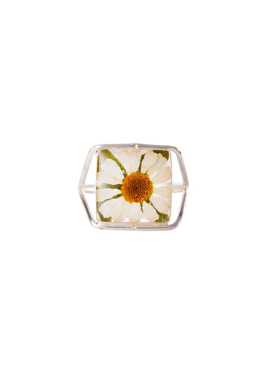 Square Ring Daisy Flower