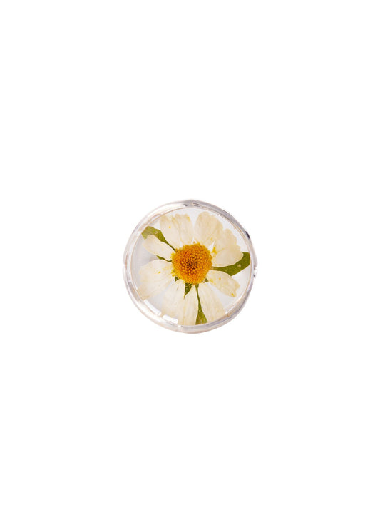Round Ring Daisy Flower