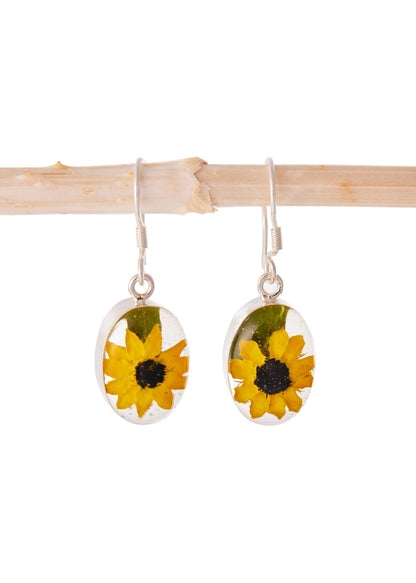 Oval Earrings with Real Sunflower
