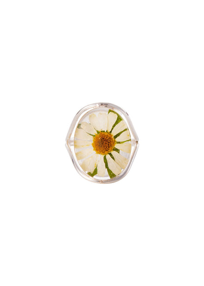 A sterling silver oval ring with a daisy flower design, featuring a real daisy flower preserved in clear resin.