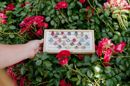 Ring display case held by a hand among pink flowers