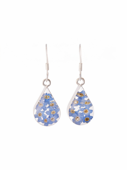 Teardrop Earrings with Real Forget Me Not Flowers