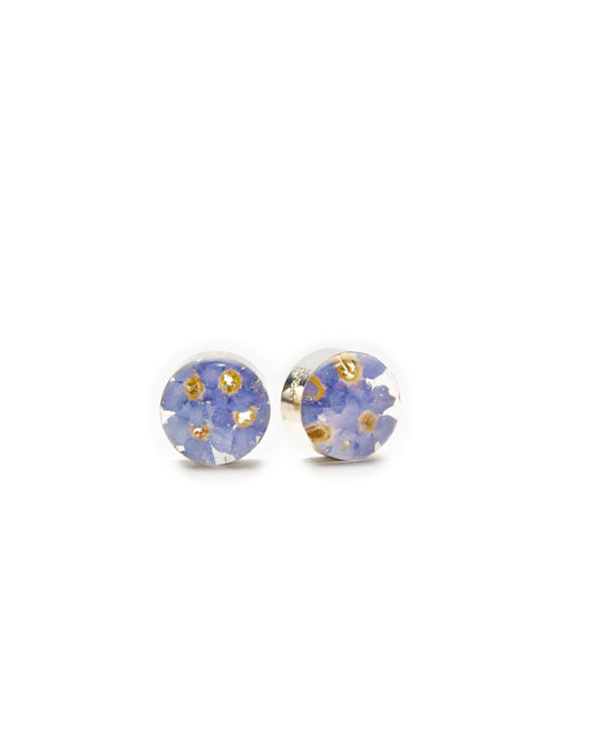 Round Post Earrings - Sterling Silver, Resin & Preserved Forget-Me-Not Flowers