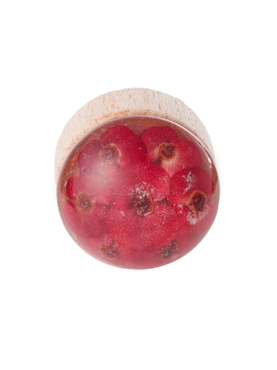 Wine Stopper Crown of Thorn Flower