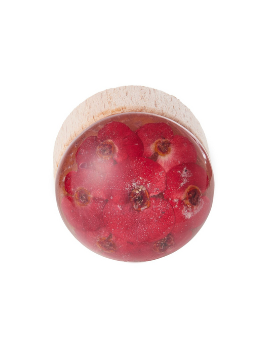 Wine Stopper Crown of Thorn Flower